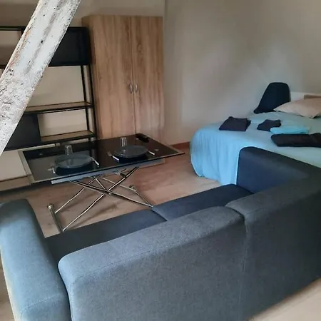 La Marmotte De La Cathédrale - Calme - Jardin Appartement