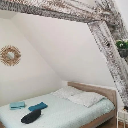 La Marmotte De La Cathédrale - Calme - Jardin Appartement *