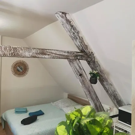 Appartement La Marmotte De La Cathédrale - Calme - Jardin Troyes