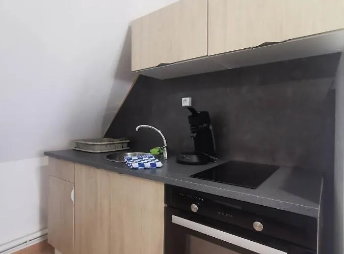 La Marmotte De La Cathedrale - Calme - Jardin Troyes